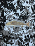Redfish
