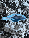 Double dolphins